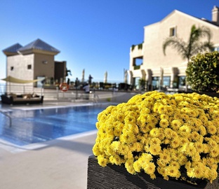 Piscina  Vincci Selección Aleysa Málaga Benalmádena