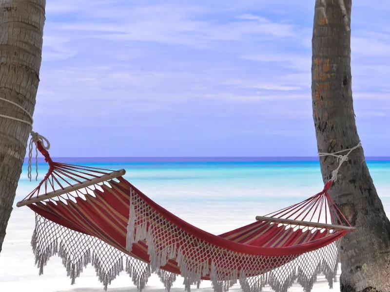 Hamacas en la Playa  Vincci Selección Aleysa 5* Málaga Hamacas en la Playa  Vincci Selección Aleysa 5* Málaga