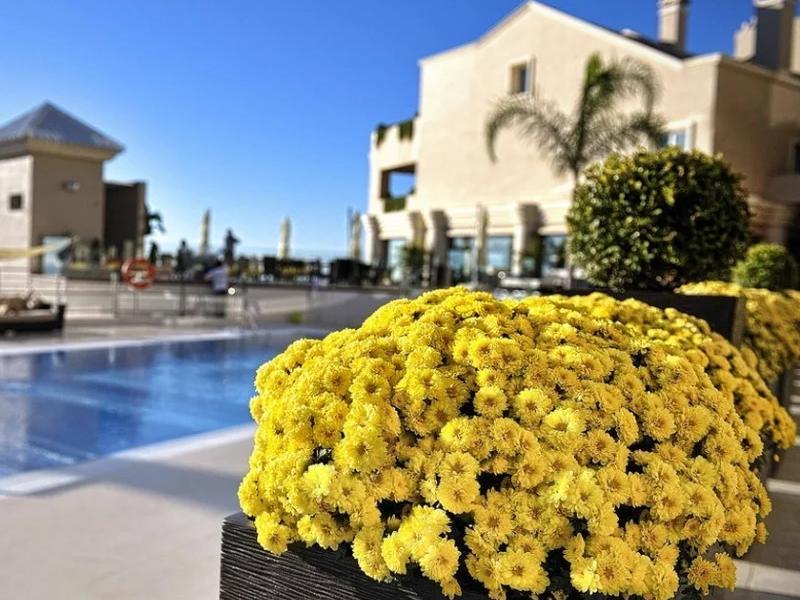 Jardines  Vincci Selección Aleysa 5* Málaga Jardines  Vincci Selección Aleysa 5* Málaga